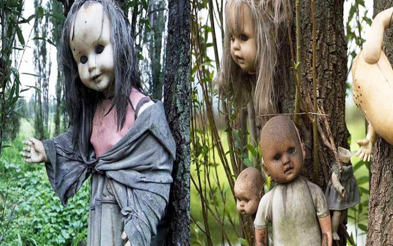 Baby Island That Doesn't Look for Horror Movies 74 Baby Island That Doesnt Look for Horror Movies