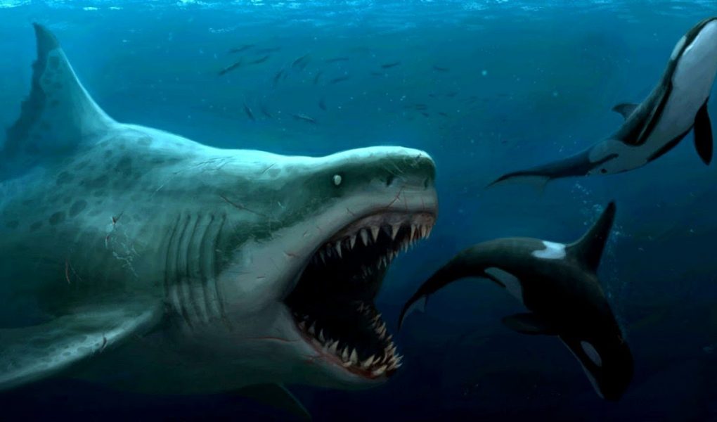 Does the Giant Terrifying Beast Still Live in the Seas? 1 Does the Giant Terrifying Beast Still Live in the Seas