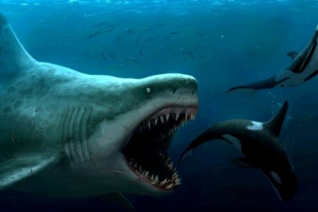 Does the Giant Terrifying Beast Still Live in the Seas? 4 Does the Giant Terrifying Beast Still Live in the Seas