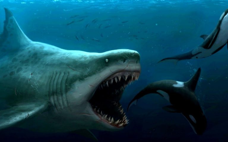 Does the Giant Terrifying Beast Still Live in the Seas? 51 Does the Giant Terrifying Beast Still Live in the Seas