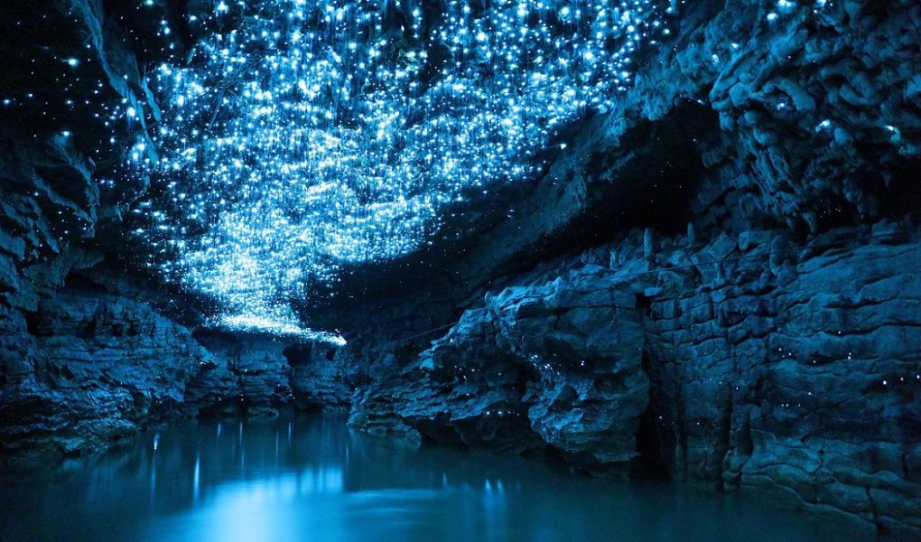 Firefly Cave That Doesn't Look Like Fairy Tales 1 Firefly Cave That Doesnt Look Like Fairy Tales