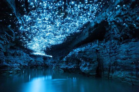 Firefly Cave That Doesn't Look Like Fairy Tales 128 Firefly Cave That Doesnt Look Like Fairy Tales