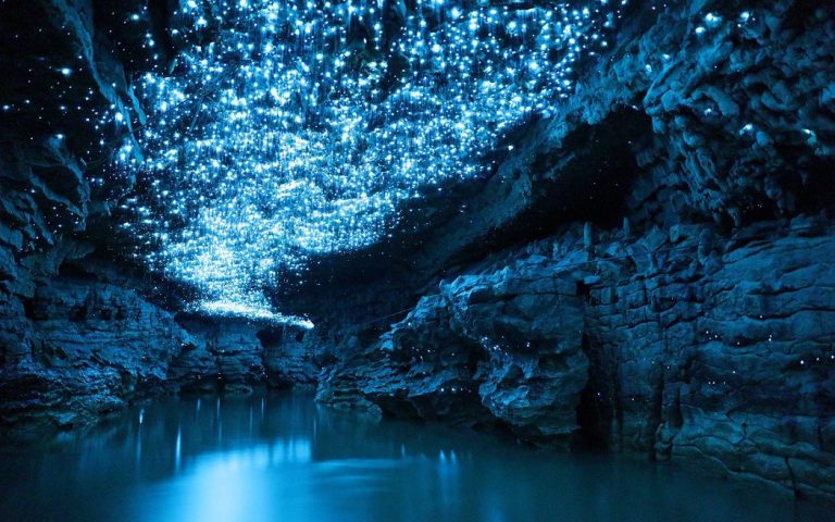 Firefly Cave That Doesn't Look Like Fairy Tales 194 Firefly Cave That Doesnt Look Like Fairy Tales