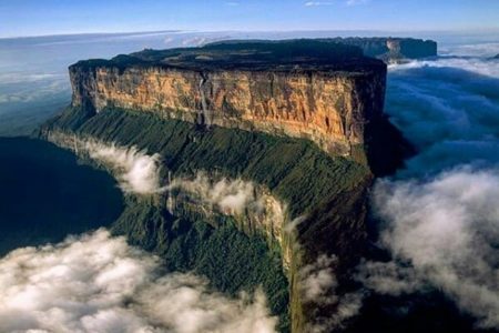 Interesting Discoveries in the Lost World of Roraima 118 Interesting Discoveries in the Lost World of Roraima