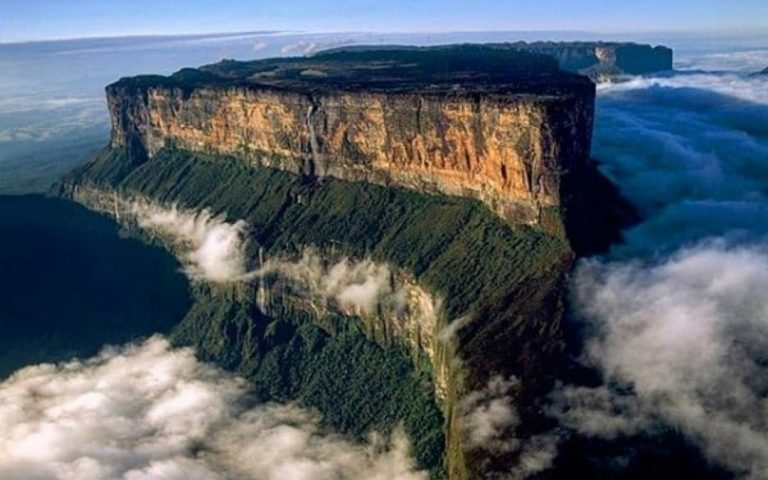 Interesting Discoveries in the Lost World of Roraima 82 Interesting Discoveries in the Lost World of Roraima