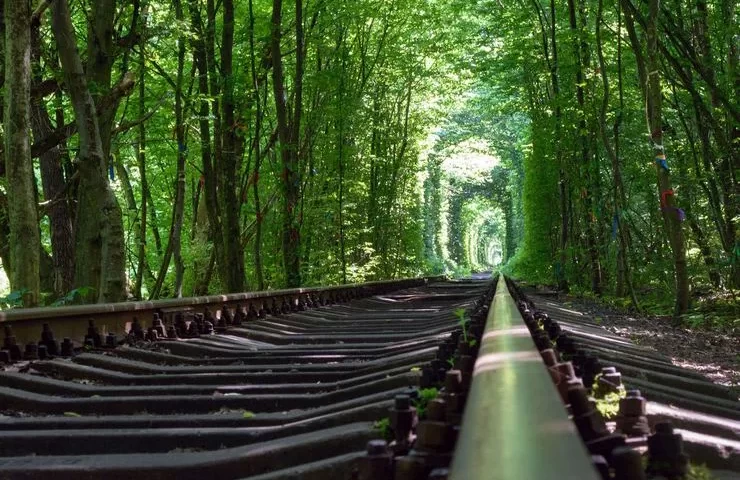 Lovers' Fairytale Road, Tunnel of Love and Interesting Story 126 Lovers Fairytale Road Tunnel of Love and Interesting Story.webp