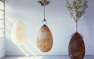 Organic Grave Capsules that Turn the Dead into Trees 1 Organic Grave Capsules that Turn the Dead into Trees