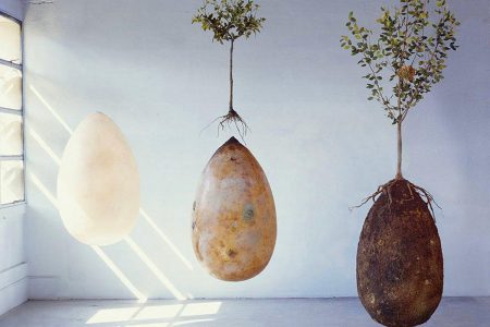 Organic Grave Capsules that Turn the Dead into Trees 244 Organic Grave Capsules that Turn the Dead into Trees