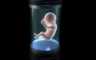 Pregnancy Makes History, Artificial Womb Developed 3 Pregnancy Makes History Artificial Womb Developed