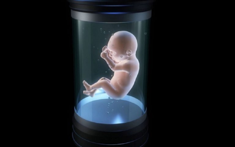 Pregnancy Makes History, Artificial Womb Developed 17 Pregnancy Makes History Artificial Womb Developed