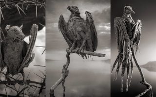 The Mystery of Lake Natron That Turns Living Beings into Stone 8 The Mystery of Lake Natron That Turns Living Beings into