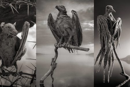 The Mystery of Lake Natron That Turns Living Beings into Stone 115 The Mystery of Lake Natron That Turns Living Beings into