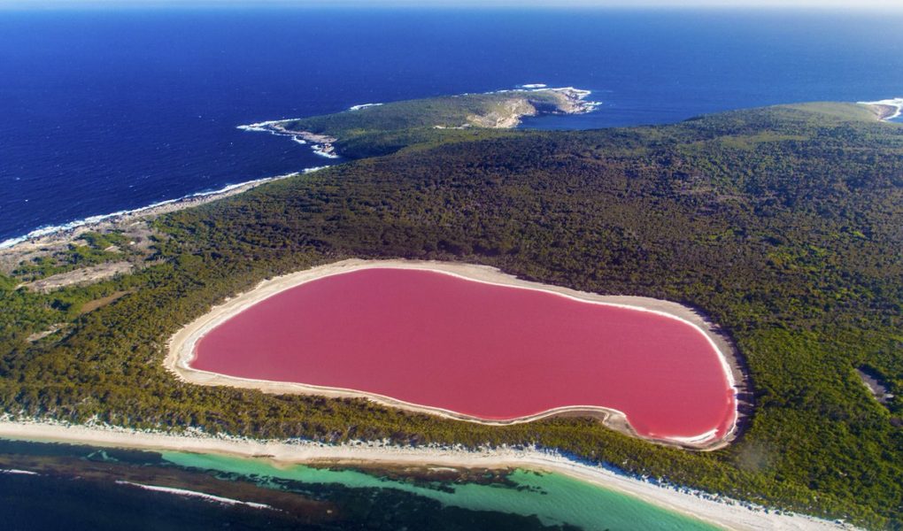The Secret of the Pink Hillier Lake 1 The Secret of the Pink Hillier Lake