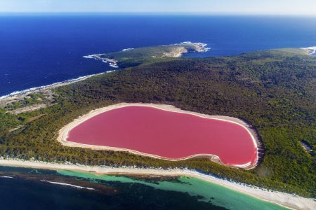 The Secret of the Pink Hillier Lake 89 The Secret of the Pink Hillier Lake