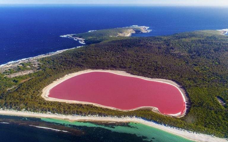 The Secret of the Pink Hillier Lake 3 The Secret of the Pink Hillier Lake