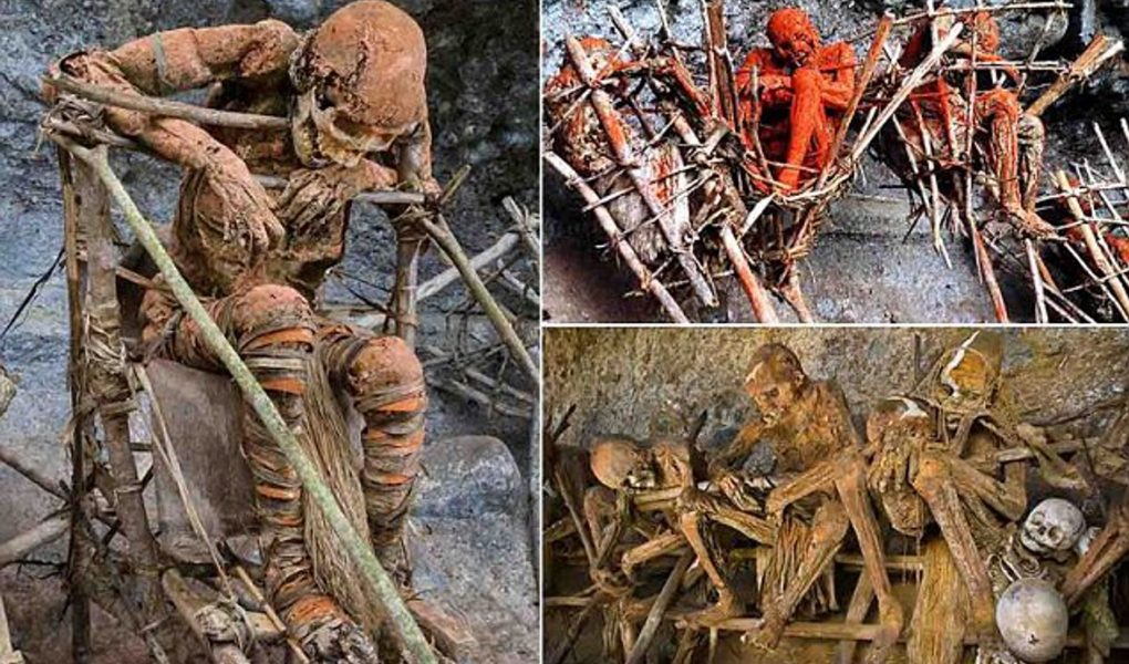 The Tribe That Cooks by Extracting the Oil of the Dead 1 The Tribe That Cooks by Extracting the Oil of the
