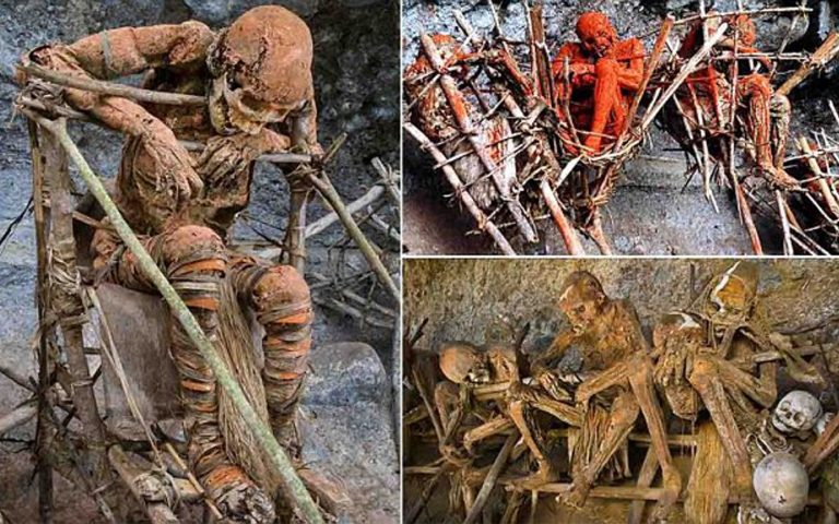 The Tribe That Cooks by Extracting the Oil of the Dead 31 The Tribe That Cooks by Extracting the Oil of the