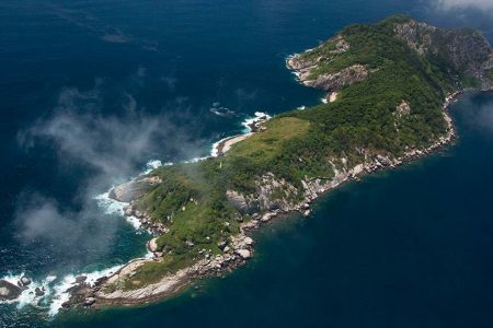 The World's Most Dangerous Island Where Entry and Exit Are Forbidden 18 The Worlds Most Dangerous Island Where Entry and Exit Are