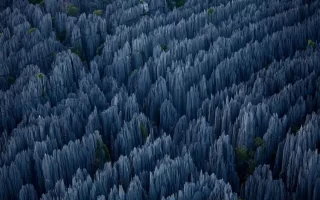 The World's Most Interesting National Park; Stone Forest 8 The Worlds Most Interesting National Park Stone Forest.webp