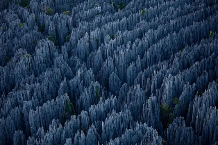 The World's Most Interesting National Park; Stone Forest 1 The Worlds Most Interesting National Park Stone Forest.webp