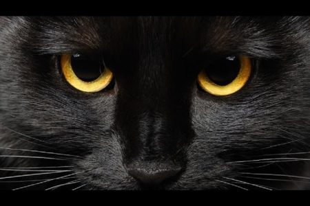 The World's Weirdest Superstitions 235 The Worlds Weirdest Superstitions