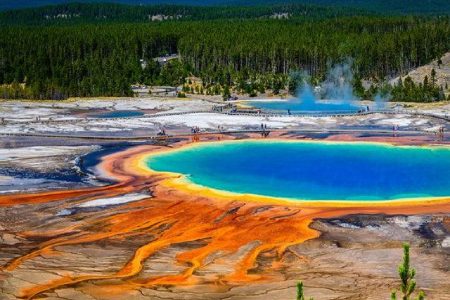 Yellowstone National Park and its Extraordinary Life 76 Yellowstone National Park and its Extraordinary Life