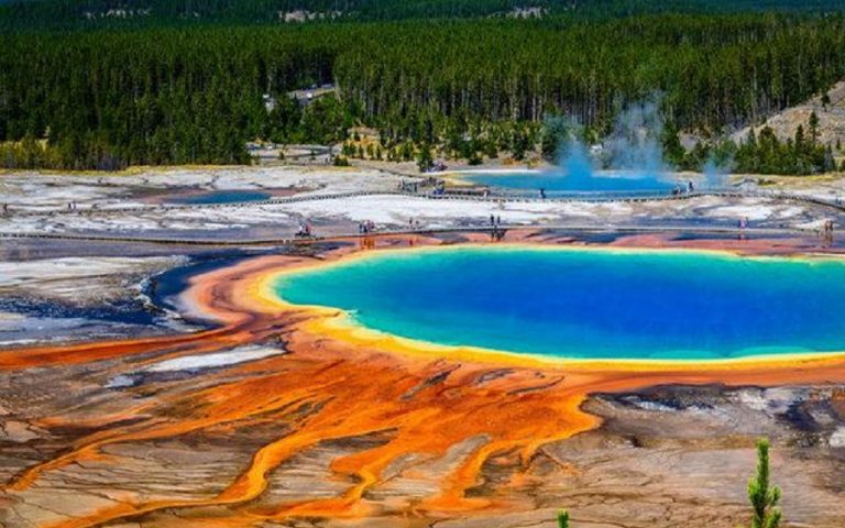 Yellowstone National Park and its Extraordinary Life 62 Yellowstone National Park and its Extraordinary Life