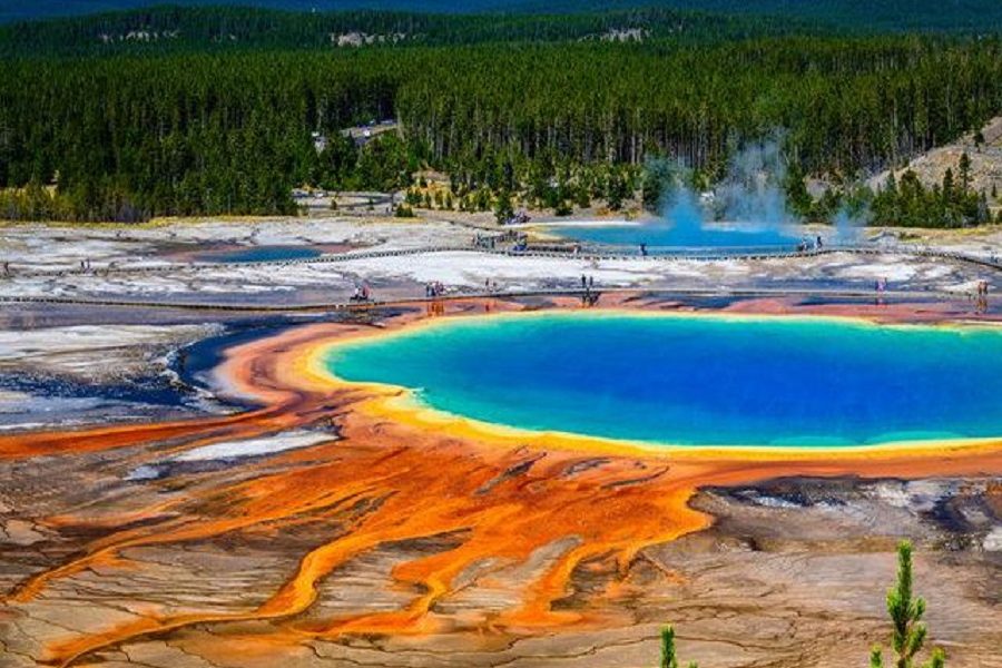 Yellowstone National Park and its Extraordinary Life 1 Yellowstone National Park and its Extraordinary Life
