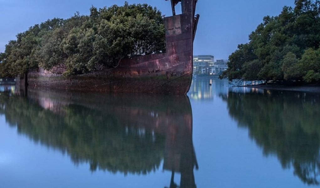 The Floating Forest Closing the Ugly Past of War 1 yuzen orman