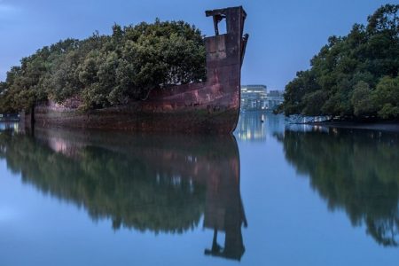 The Floating Forest Closing the Ugly Past of War 233 yuzen orman