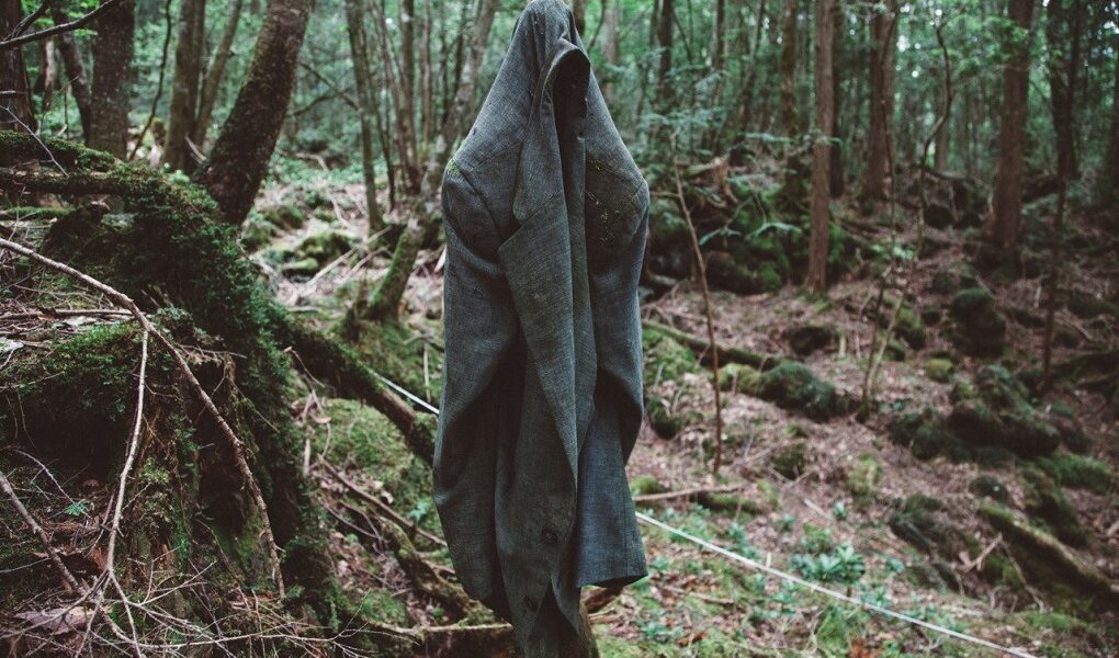 Whoever goes to this forest commits suicide, here's why! 1 Whoever goes to this forest commits suicide heres why