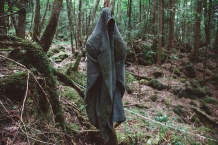 Whoever goes to this forest commits suicide, here's why! 36 Whoever goes to this forest commits suicide heres why