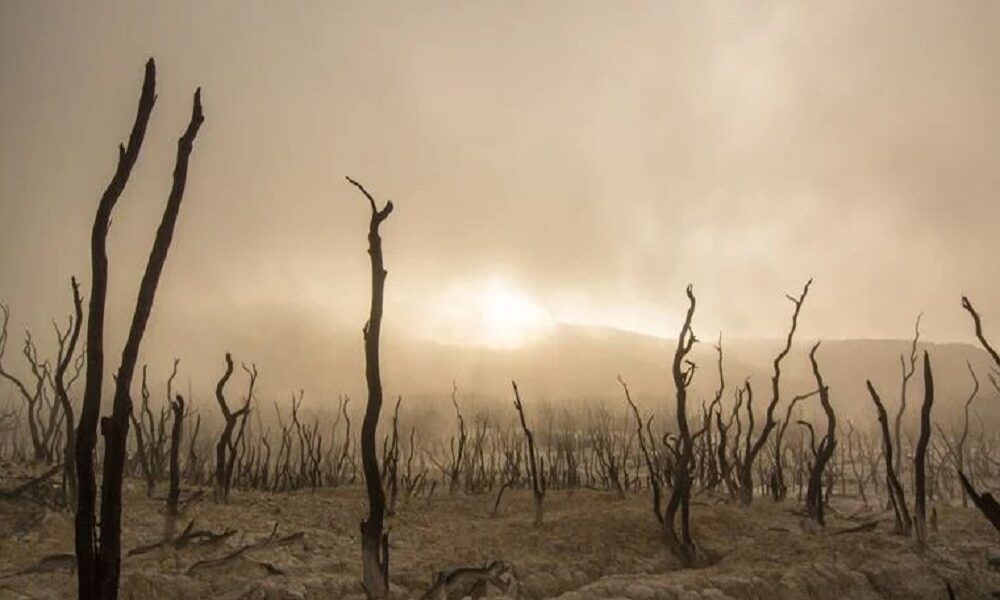 A Mass Extinction Could Happen By 2100 1 A Mass Extinction Could Happen By 2100
