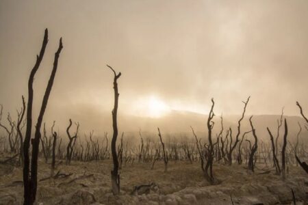 A Mass Extinction Could Happen By 2100 140 A Mass Extinction Could Happen By 2100