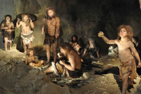 Who is Neanderthal? Information About Neanderthals 27 Who is Neanderthal Information About Neanderthals
