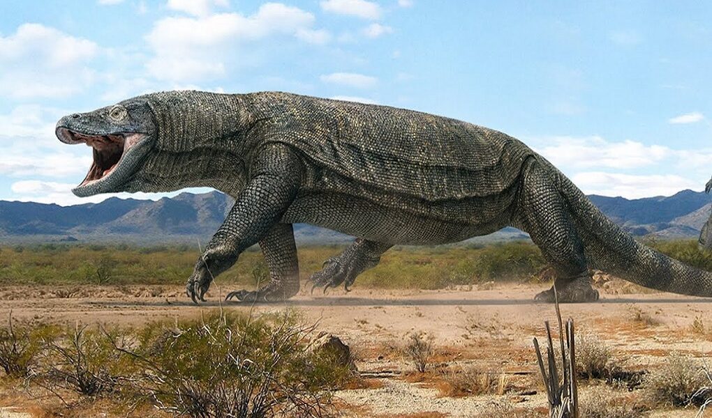 The Most Dangerous and Giant Endangered Animals 1 The Most Dangerous and Giant Endangered Animals