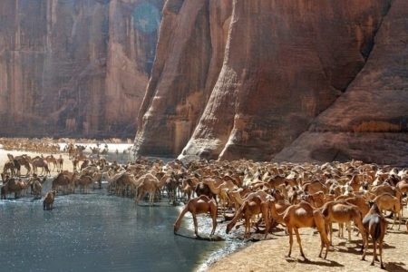 The Garden of Eden of the Sahara Desert; Ennedi Plateau 22 The Garden of Eden of the Sahara Desert Ennedi Plateau