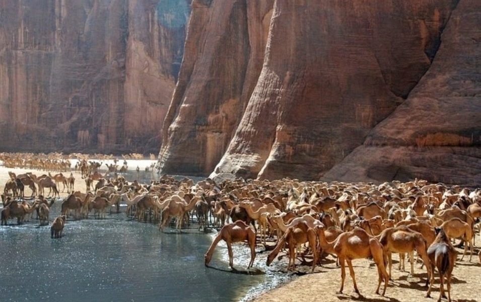 The Garden of Eden of the Sahara Desert; Ennedi Plateau 1 The Garden of Eden of the Sahara Desert Ennedi Plateau