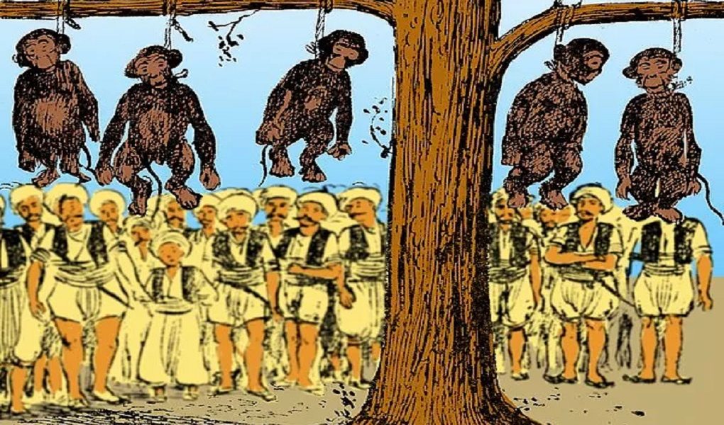 Execution of Monkeys in the Ottoman Era 1 monkey