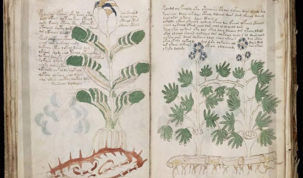 Mysterious Book That Can't Be Solved Voynich 1 Mysterious Book That Cant Be Solved Voynich
