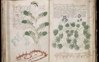 Mysterious Book That Can't Be Solved Voynich 17 Mysterious Book That Cant Be Solved Voynich