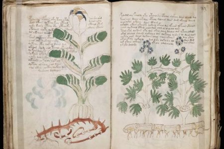 Mysterious Book That Can't Be Solved Voynich 23 Mysterious Book That Cant Be Solved Voynich