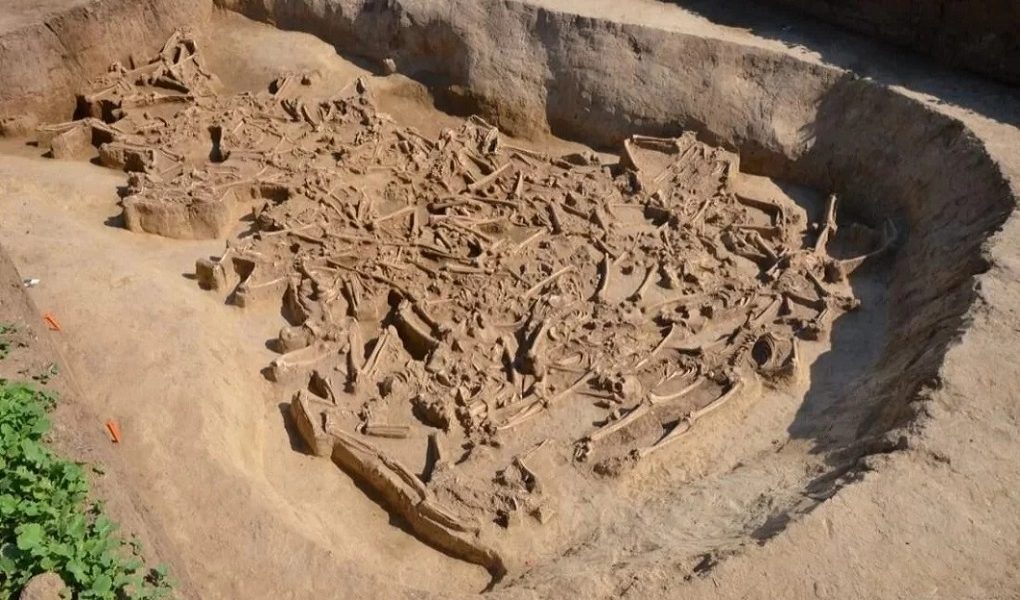 Mysterious Headless Skeletons Discovered in Slovakia 1 Mysterious Headless Skeletons Discovered in Slovakia