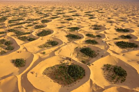 Spectacular Desert Landscapes That Impress 205 Spectacular Desert Landscapes That Impress