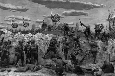 The Great Emu War in History 127 The Great Emu War in History