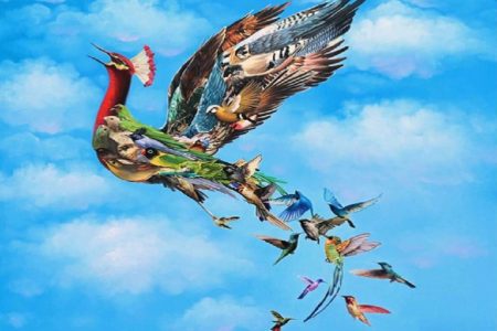The Story of the Phoenix Born From Its Ashes - Explorer 120 The Story of the Phoenix Born From Its Ashes