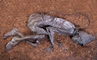 Europes Mysterious Swamp Corpses Explorer
