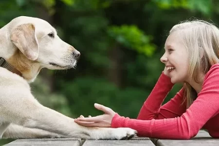 Artificial Intelligence Will Let Us Talk To Animals! 47 hayvanlarla konusmak