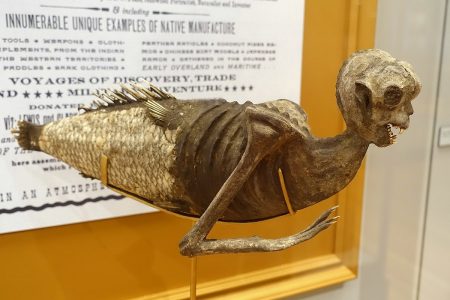 What is Feejee Mermaid? Really? 19 Feejee memaid