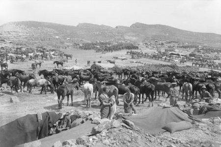 Norfolk Battalion Lost in the Clouds in Çanakkale 135 Norfolk Taburu 1